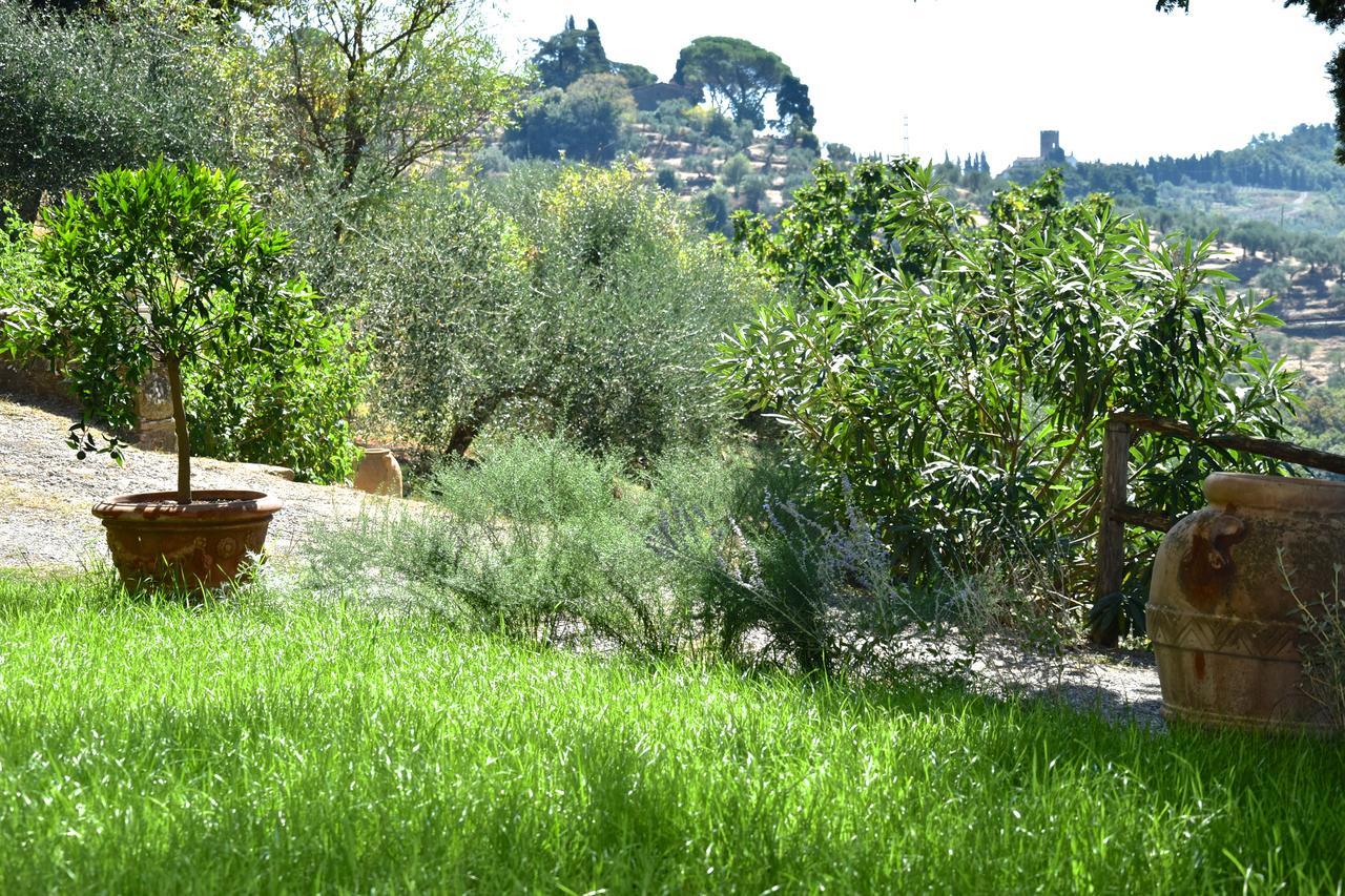Bed and Breakfast Palazzina Del Chiasso San Martino in Freddana Exterior foto
