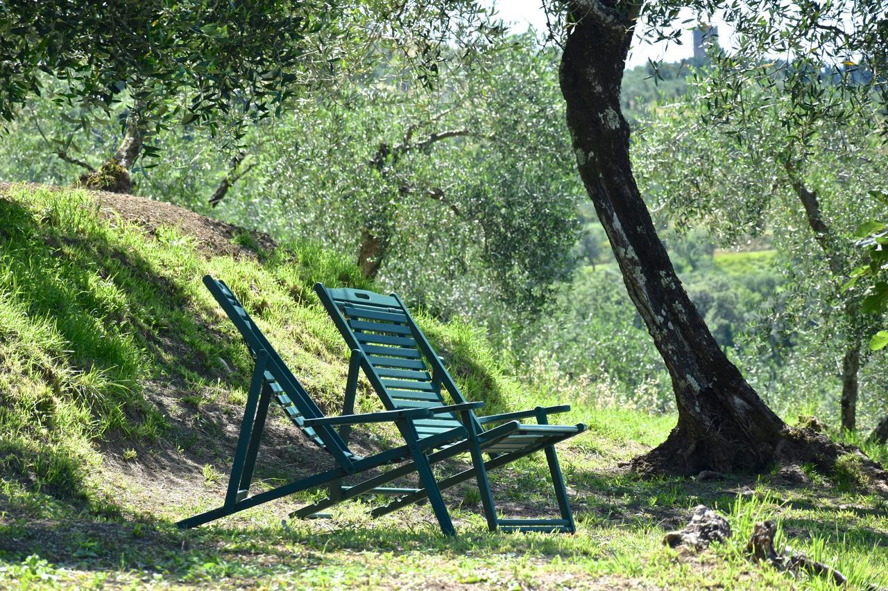 Bed and Breakfast Palazzina Del Chiasso San Martino in Freddana Exterior foto