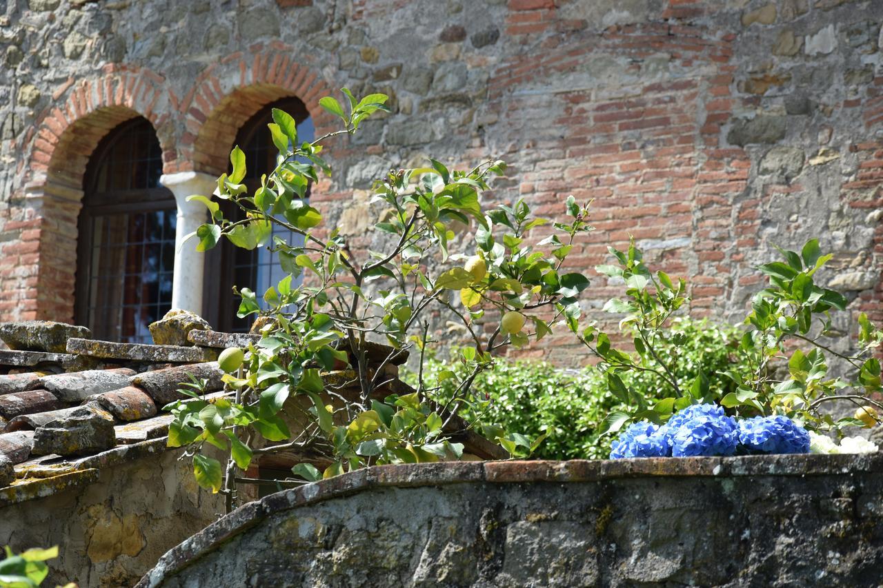Bed and Breakfast Palazzina Del Chiasso San Martino in Freddana Exterior foto